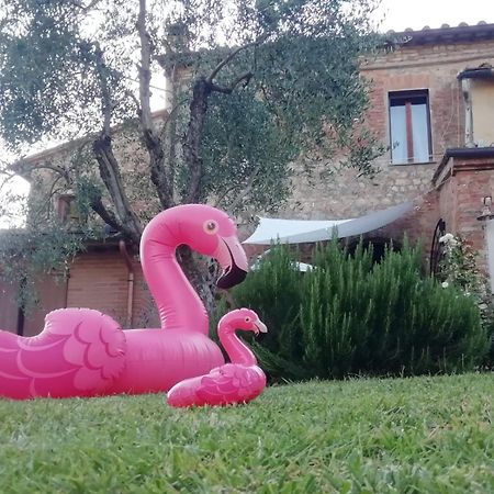 Apartament Agli Olivi Di Marciano Siena Zewnętrze zdjęcie