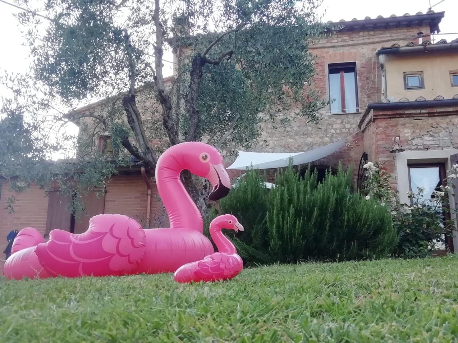 Apartament Agli Olivi Di Marciano Siena Zewnętrze zdjęcie