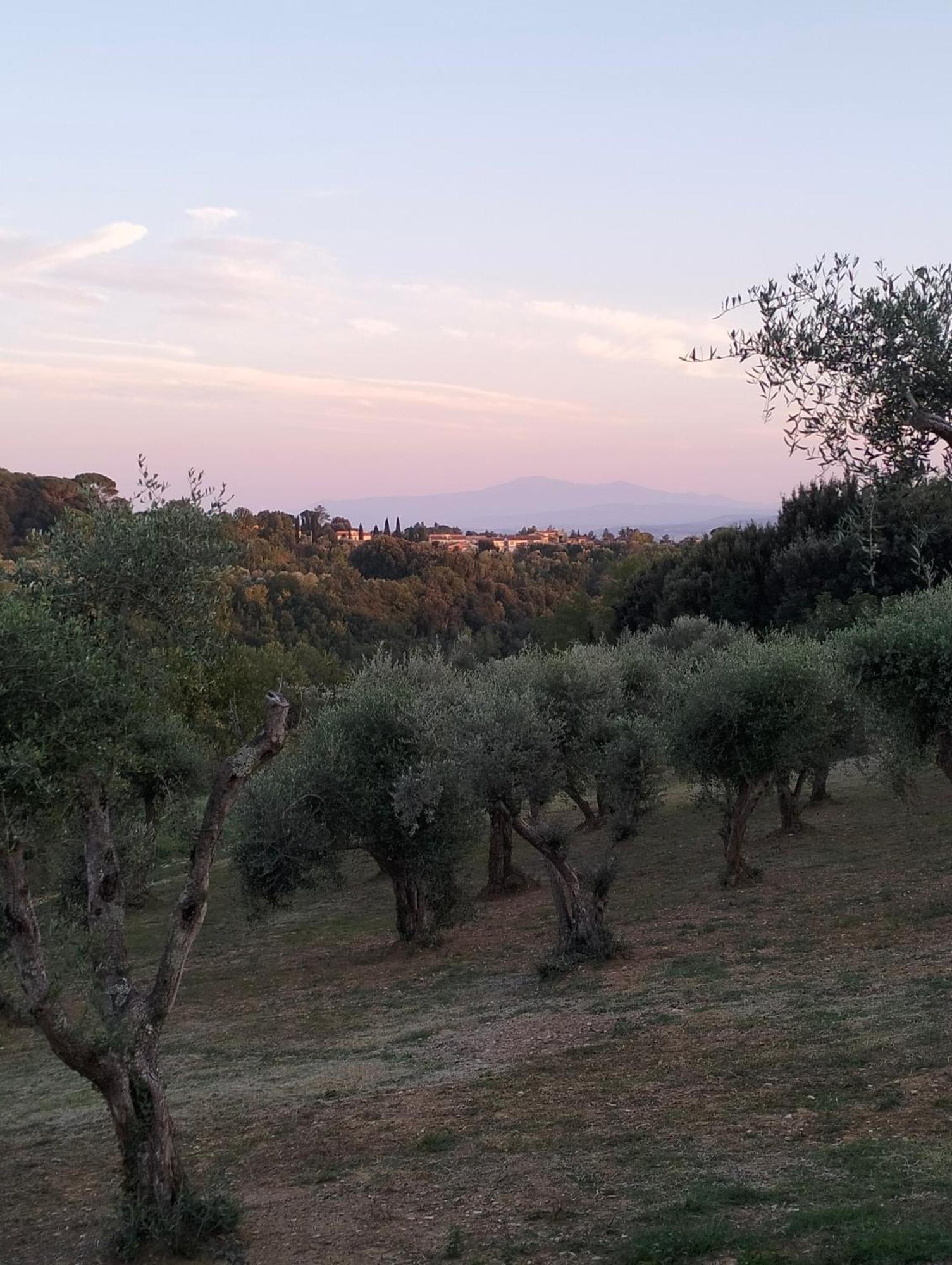 Apartament Agli Olivi Di Marciano Siena Zewnętrze zdjęcie