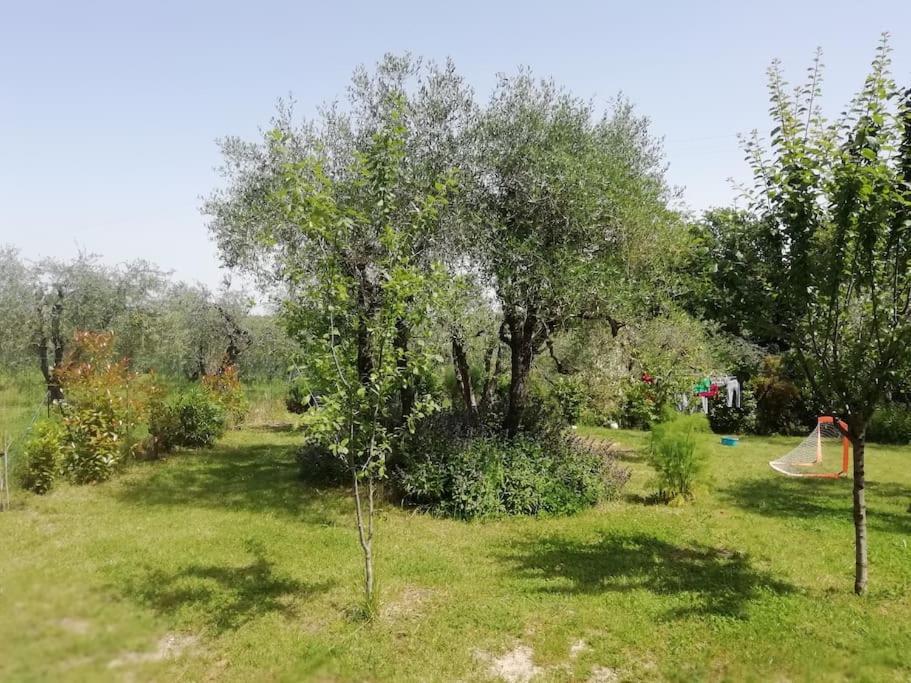 Apartament Agli Olivi Di Marciano Siena Zewnętrze zdjęcie