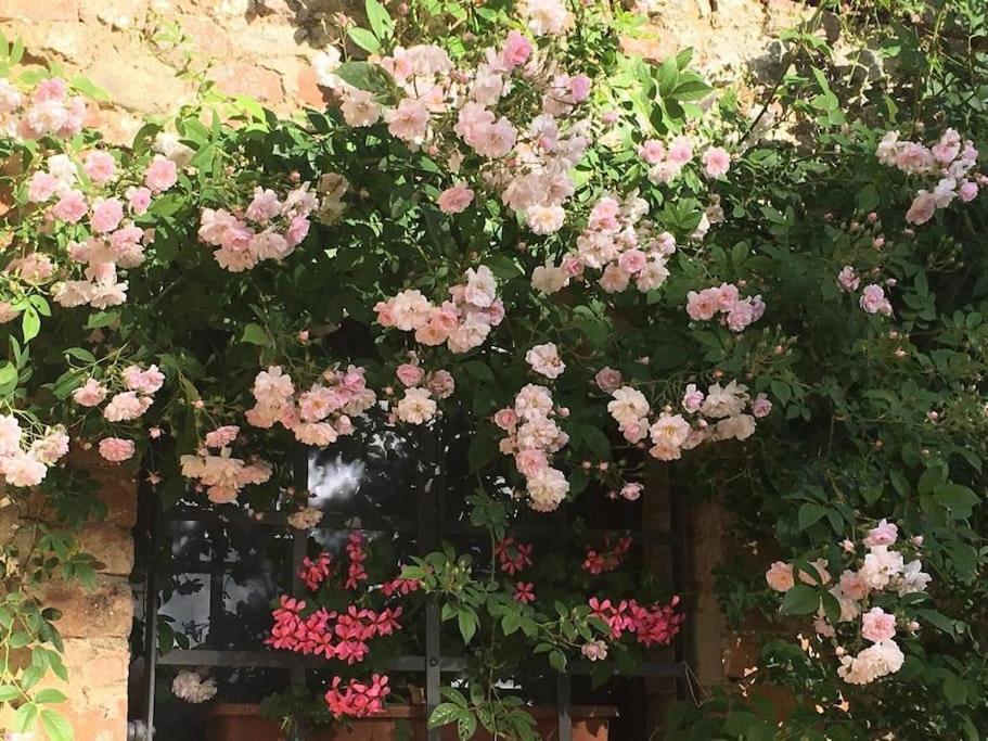 Apartament Agli Olivi Di Marciano Siena Zewnętrze zdjęcie